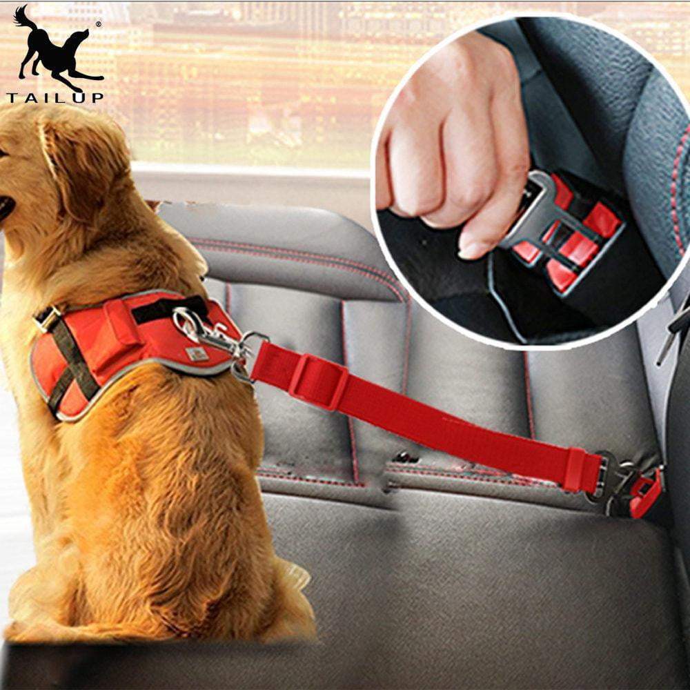 Cinturón de seguridad para coche - MascotaGadget.com