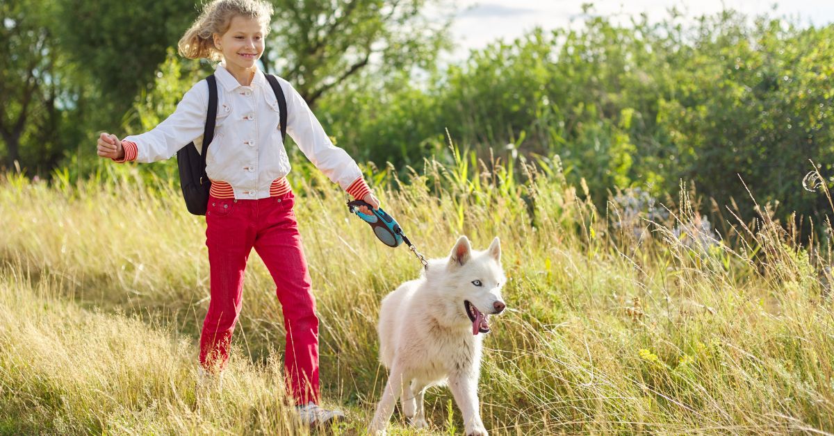 ¿Cómo pasear a tu perro en primavera de forma segura?