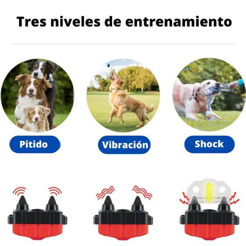 Collar Adiestramiento Pro+ para perros