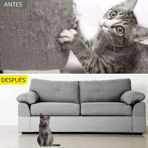 Cinta Anti-Arañazos de Gatos