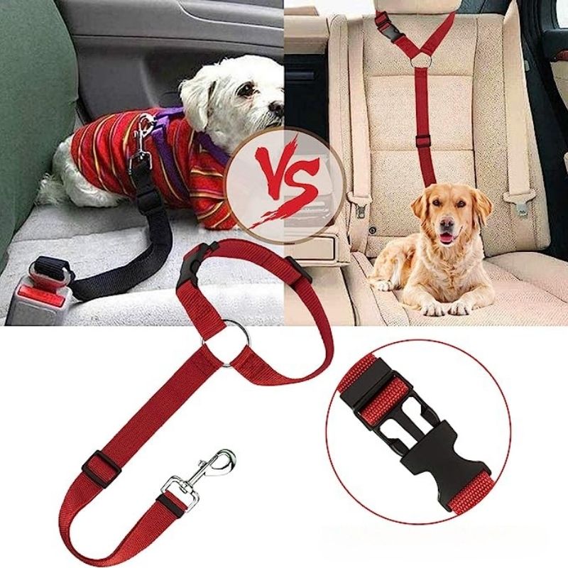 Cinturón de Seguridad de Coche para Perros